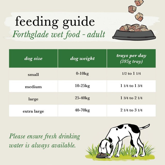 Forthglade wet dog food sardines with sweet potato 395g - British product
