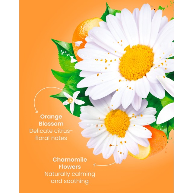 Good Earth camomile and orange blossom teabags, imported from the UK