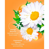 Good Earth camomile and orange blossom teabags, imported from the UK