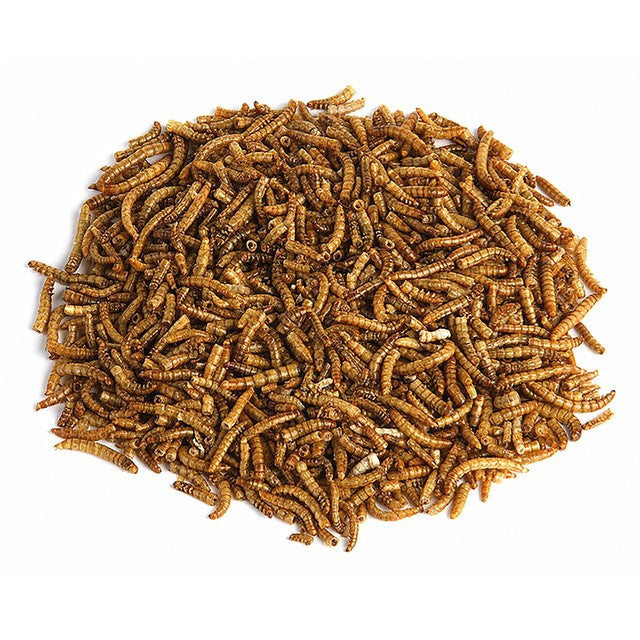 RSPB mealworms 200g, imported from the UK