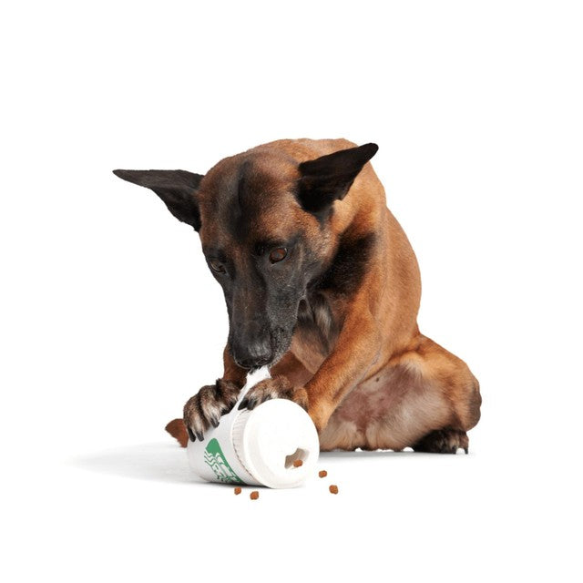 Bark Pupkin Spice Yappucino dog toy - British product