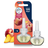 Glade PlugIn scented oil refill Peach Paradise 20ml, imported from the UK