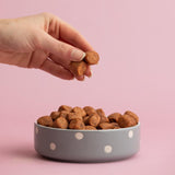 Mason Cash Polka Dot Grey pet bowl 13cm, imported from the UK