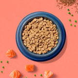 Tails dry dog food salmon 2kg (British brand)