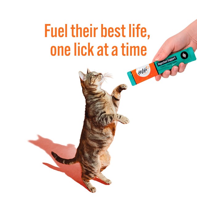 HiLife cat digestive licks treat, UK version