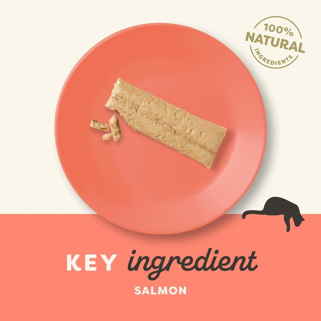 Applaws whole salmon loin cat treat 30g - British product