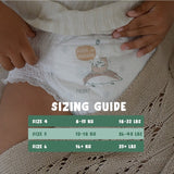 Naty FreeMovers nappy pants Size 5 (12-18kg), imported from the UK