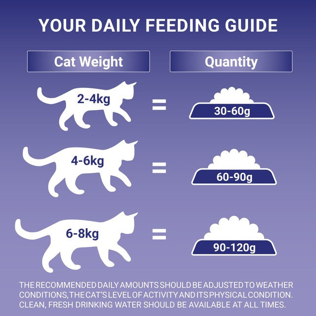 Purina One senior chicken dry cat food (British brand)