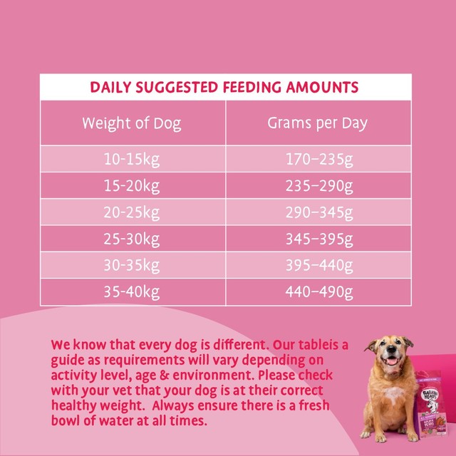 Barking Heads Golden Years dry dog food 2kg - British product