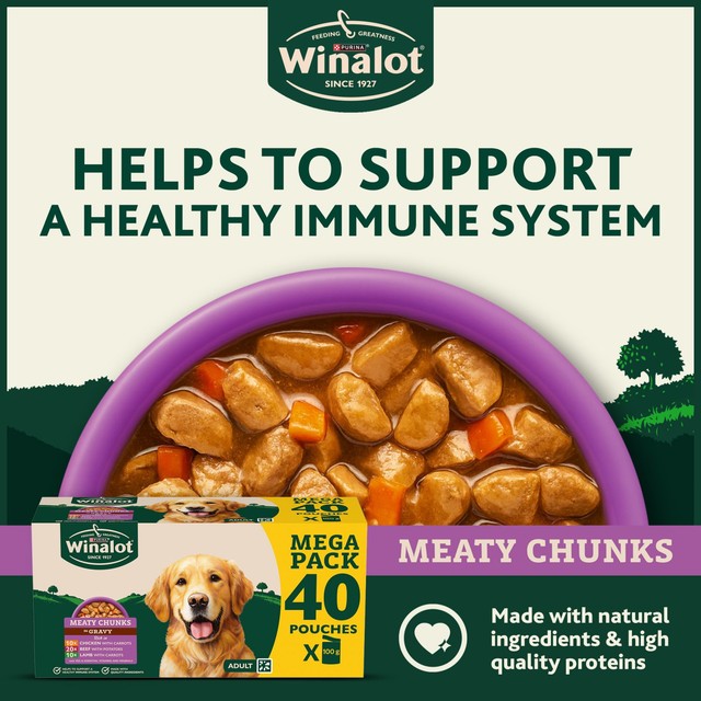 Winalot Meaty Chunks Mixed in Gravy wet dog food 40 x 100g (British brand)