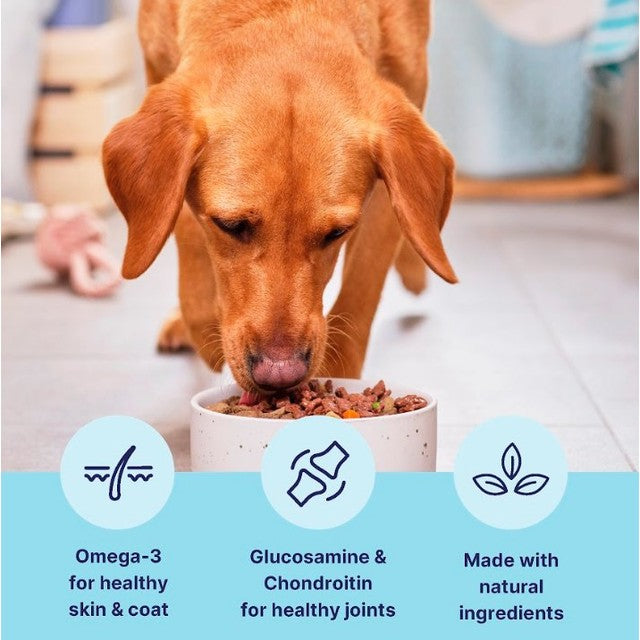 Tails dog wet food chicken 400g (British brand)