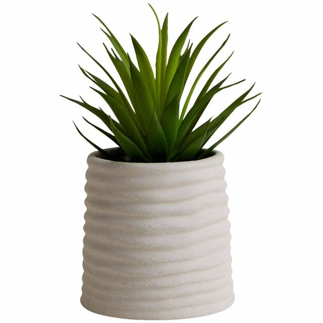 M&S artificial mini air plant in ceramic pot - British product