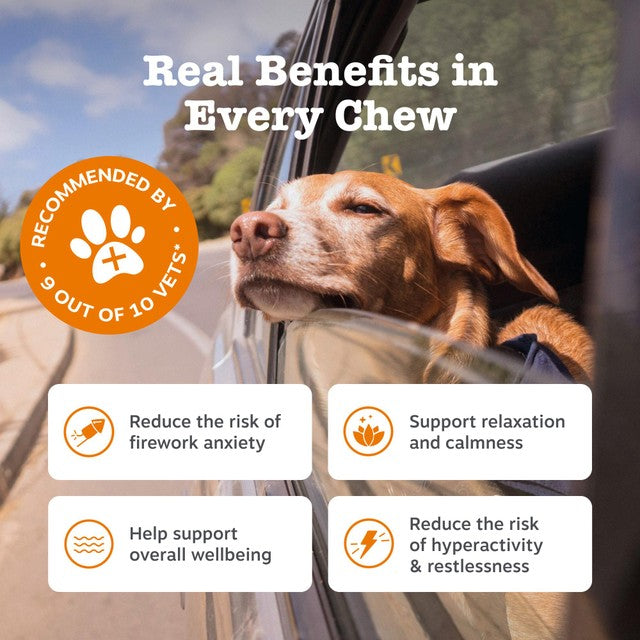 Zesty Paws calming dog chews turkey flavour, imported from the UK