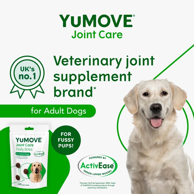 YuMOVE Joint Support Bites for adult dogs - British product