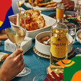 Campo Viejo white wine Rioja Blanco 75cl - British product