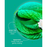 Good Earth Moroccan Mint & Green Tea teabags 15 count, UK version