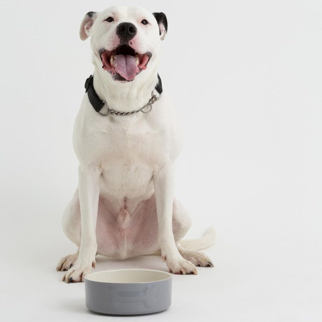 Mason Cash Grey dog bowl 20cm, imported from the UK