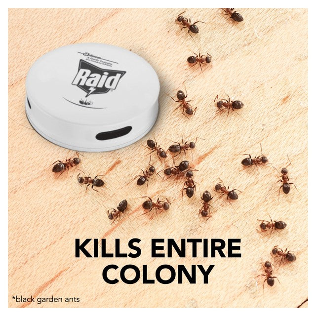 Raid Ant Bait Station, imported from the UK
