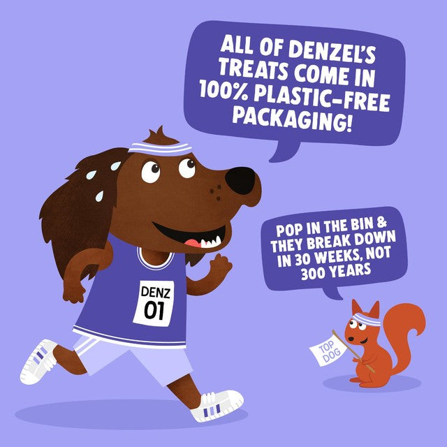 Denzel's Salmon & Berries Training Bites 100g - British product