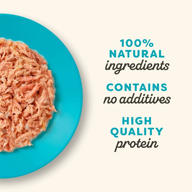 Applaws Tuna Fillet wet cat food 70g - British product