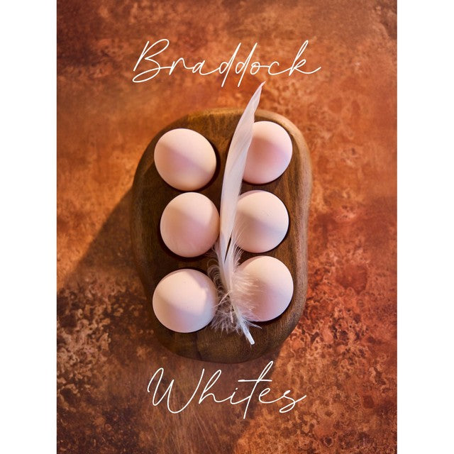 Clarence Court free range duck eggs 6 pack - British product
