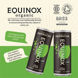 Equinox organic cola and lime kombucha can (British brand)