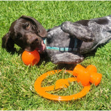 Bionic Bone Small dog chew toy 9.5cm - British product