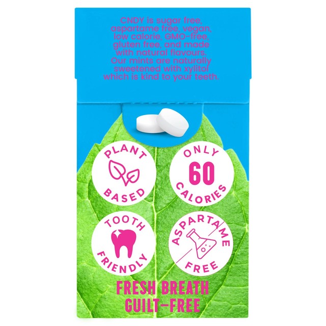 CNDY spearmint sugar free mints 25g - British product
