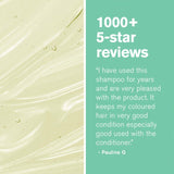 Green People Intensive Repair Organic Vegan Shampoo 200ml, UK version