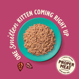 Lily's Kitchen chicken and cod pate kitten wet food 85g, UK version
