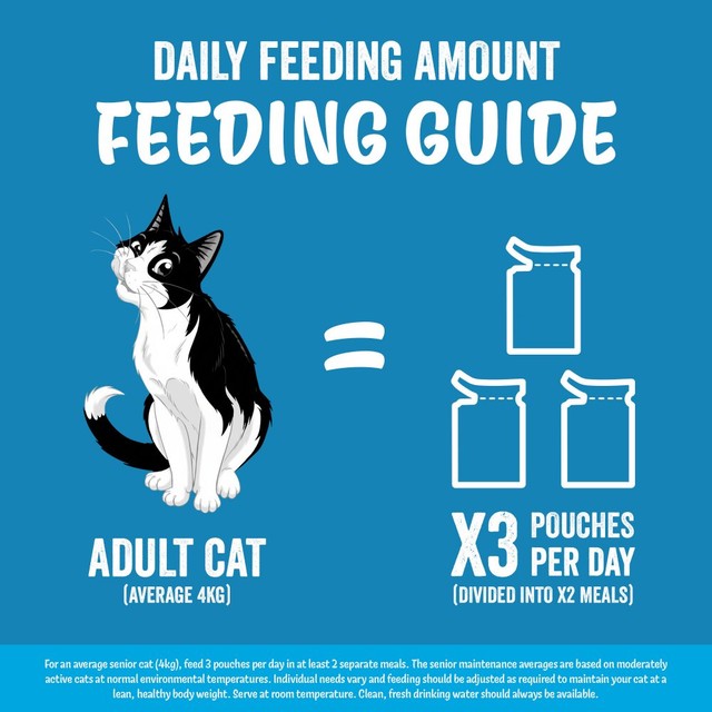 Felix fish selection in jelly wet cat food 80x85g - British product