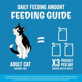 Felix fish selection in jelly wet cat food 80x85g - British product