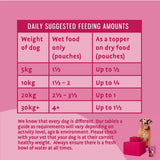 Barking Heads Golden Years Senior wet dog food pouch 300g - British product