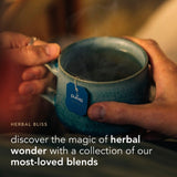 Pukka herbal tea collection 4 flavours 20 tea bags imported from the UK