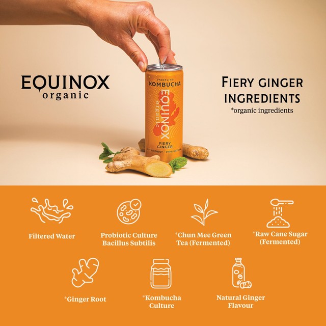 Equinox organic fiery ginger kombucha multi-pack, UK version