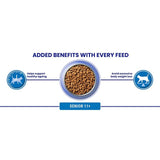 Purina One senior chicken dry cat food (British brand)