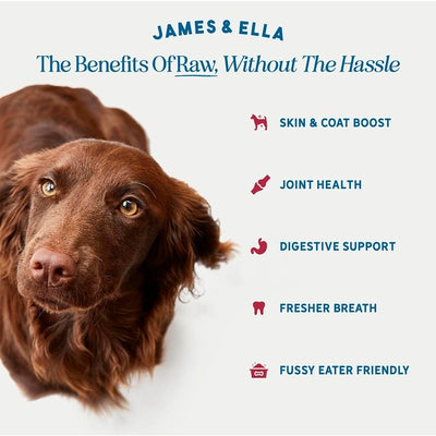 James & Ella gefriergetrocknetes rohes Rinder-Hundefutter Topper 50g