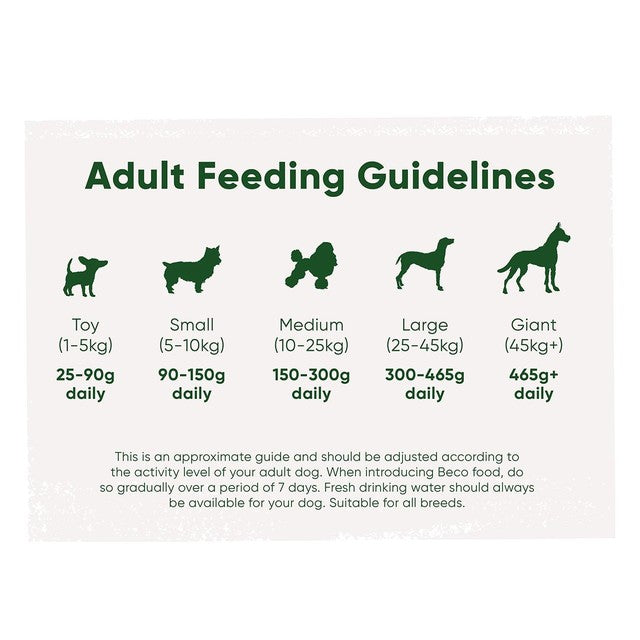 Beco Pets dry dog food cod and haddock 6kg - British product