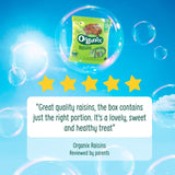 Organix raisin snack boxes 168g, imported from the UK