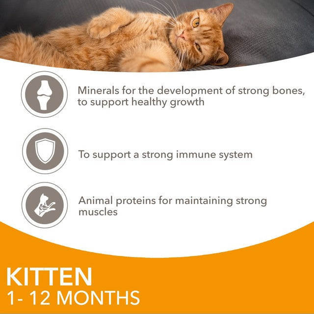 Iams kitten wet food chicken in gravy 12 x 85g multipack, UK version
