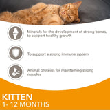 Iams kitten wet food chicken in gravy 12 x 85g multipack, UK version