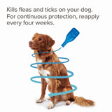 Beaphar FIPROtec spot-on flea treatment for large dogs, imported from the UK