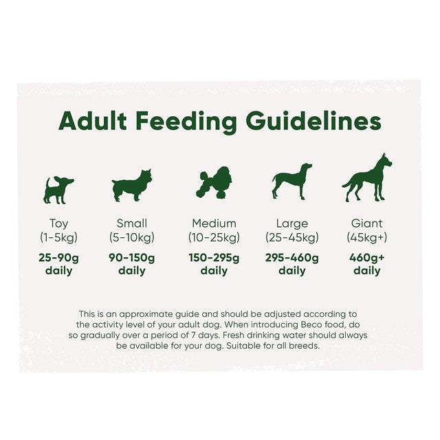 Beco Pets dry dog food free range chicken 6kg - British product
