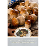 Bertagni porcini truffle triangoli pasta 250g - British product