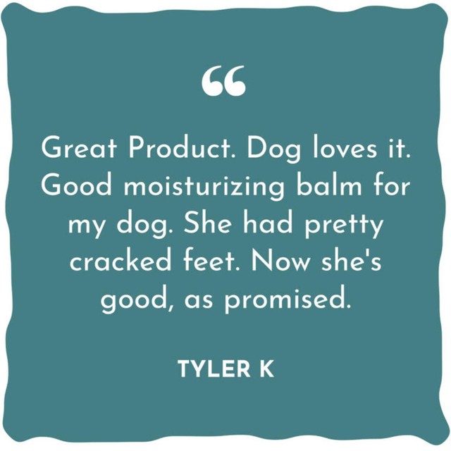 WildWash Magic Paw Balm for dogs (British brand)