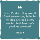 WildWash Magic Paw Balm for dogs (British brand)