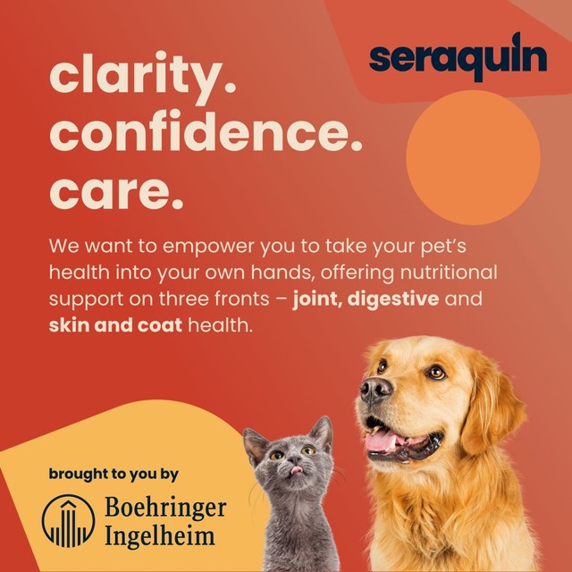 Seraquin joint supplement chewable tablets for cats and small dogs, UK version