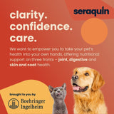 Seraquin joint supplement chewable tablets for cats and small dogs, UK version