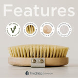 Hydréa London body brush with cactus bristle, hard strength, UK version