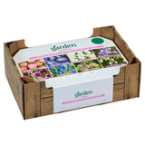 Sainsburys Bees  Butterflies Collection